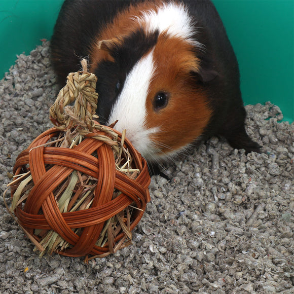 Ware 4" Edible Treat Ball for Small Animal