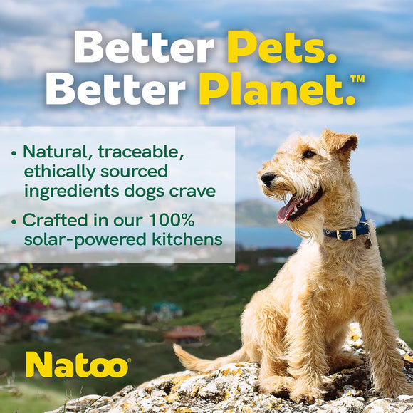 Dog sitting on a rock with a scenic background, promoting 'Better Pets. Better Planet.' with Natoo branding.
