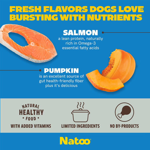 Advertisement for Natoo pet food with salmon and pumpkin slices on a blue background