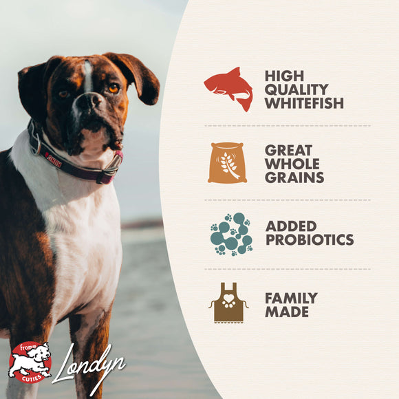 Dog with a label detailing ingredients on a white background