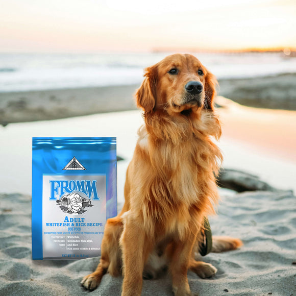 Dog standing on a beach with a bag of Fromm dog food next to it