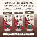TropiClean Enticers Smoked Beef Flavor Dental Ball Kit for Medium Dogs (1 oz)