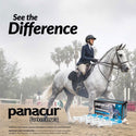 Panacur Powerpac Equine Paste 10% Horse Dewormer, 57g