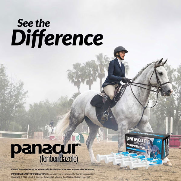 Panacur Powerpac Equine Paste 10% Horse Dewormer, 57g