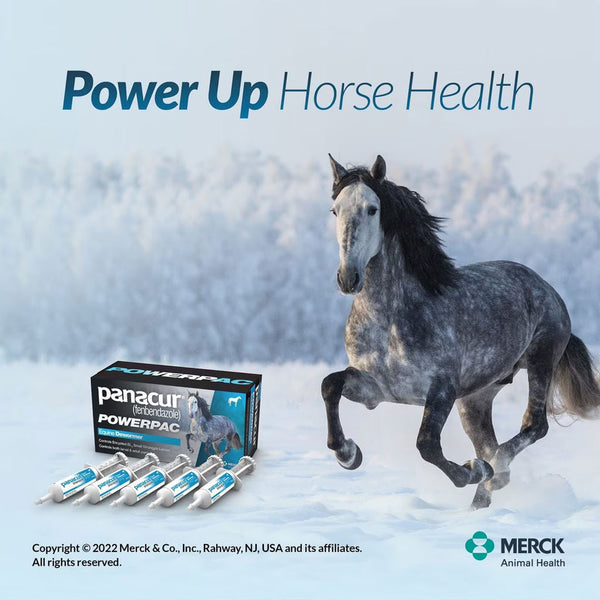 Panacur Powerpac Equine Paste 10% Horse Dewormer, 57g