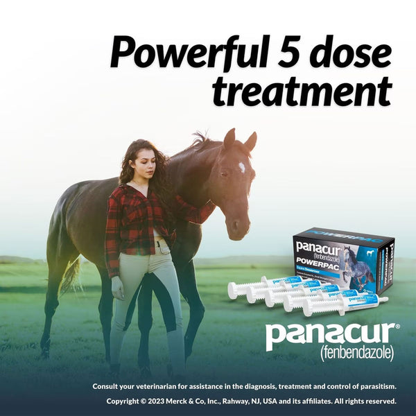 Panacur Powerpac Equine Paste 10% Horse Dewormer, 57g