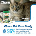 INABA Veterinarian Formula Churu Nourish