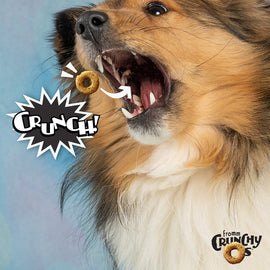 Dog with open mouth, donut in mouth, and 'Crunch!' text on a blue gradient background