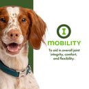 Dog with a green collar on a white background with text about mobility products.