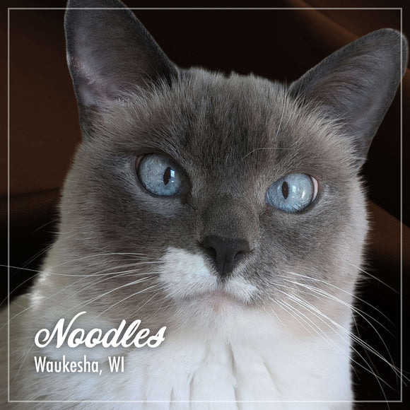 Fromm PurrSnickitty Noodles 