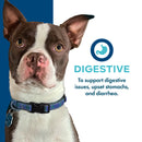 Dog with a blue collar on a white background with text about digestive support.