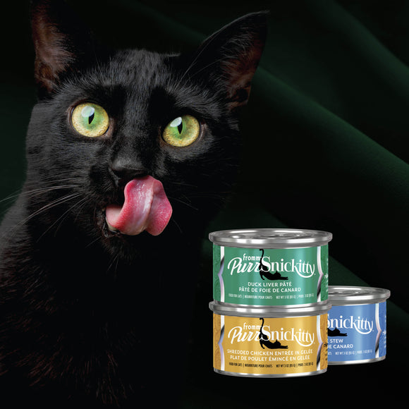 Black cat licking lips with PurSnickity cat food cans in the foreground