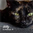 Close-up of a tortoiseshell cat with green eyes, text overlay 'Silly Port Washington, WI'.