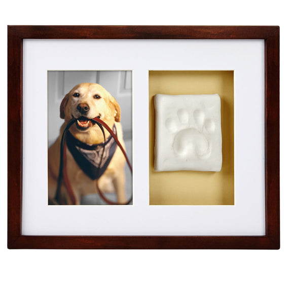 Framed photo of a dog holding a leash with a white paw print on a beige background