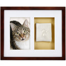 Framed picture of a cat and a paw print on a white background