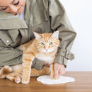 Person wearing a green jacket with an orange cat on a wooden floor.
