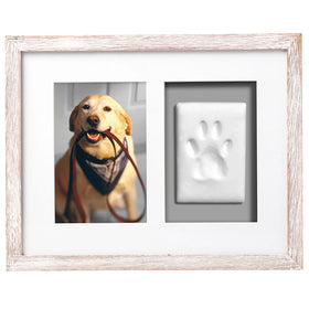 Pearhead Pet Pawprints Dog & Cat Wall Frame and Impression Kit