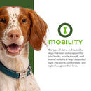 Dog with a green collar on a white background with 'MOBILITY' text and dog icon.