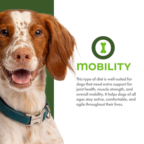 Dog with a green collar on a white background with 'MOBILITY' text and dog icon.