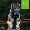 Dog running on a track with 'Pioneers in Pet Health & Nutrition' logo in the corner.