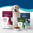 Dog with Fromm Family Nutritionals dog food packages on a white background