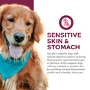Dog with a blue bandana wearing a diet label for sensitive skin and stomach.