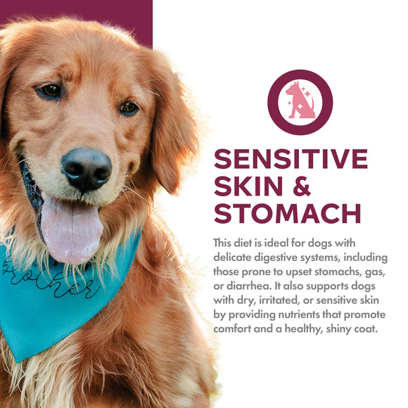 Dog with a blue bandana wearing a diet label for sensitive skin and stomach.