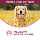 Dog in a field of yellow flowers with text about a salmon and whole oats recipe.