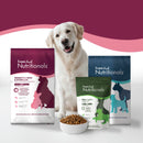 Dog with Fromm Family Nutritionals dog food packages on a white background