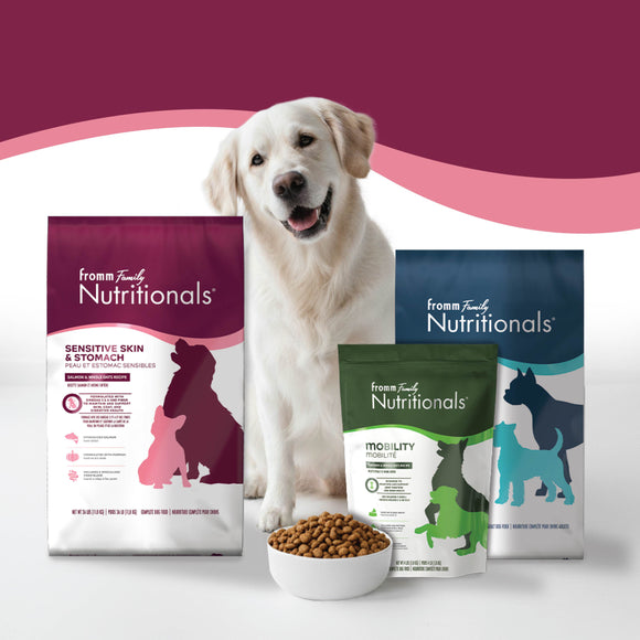 Dog with Fromm Family Nutritionals dog food packages on a white background
