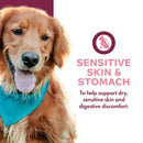 Dog wearing a blue bandana with text about sensitive skin and stomach support.