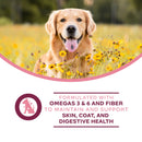 Dog in a field of yellow flowers with health benefits text overlay