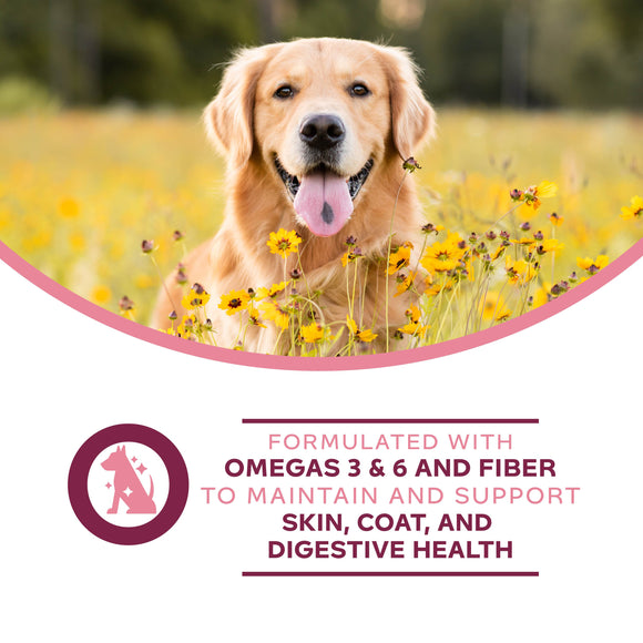 Dog in a field of yellow flowers with health benefits text overlay