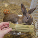 Ware Bristle Bunches Chew Treats for Small Animals