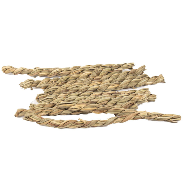 Ware Seagrass Twists Chew Toy for Small Animal