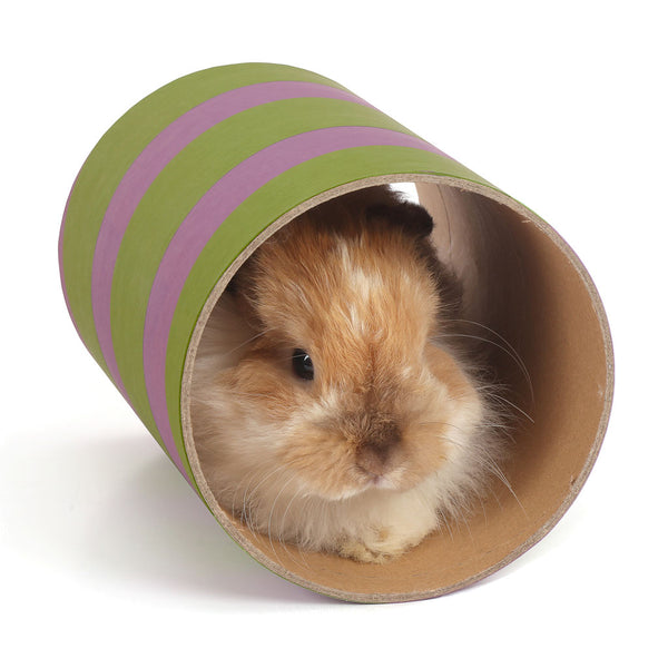 Ware Tunnel of Fun Tube Small Animal Toy