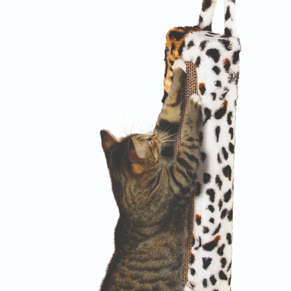 Ware Wildcat Door Toy: Endless Cat Entertainment Ware Wildcat Door Toy: Endless Cat Entertainment