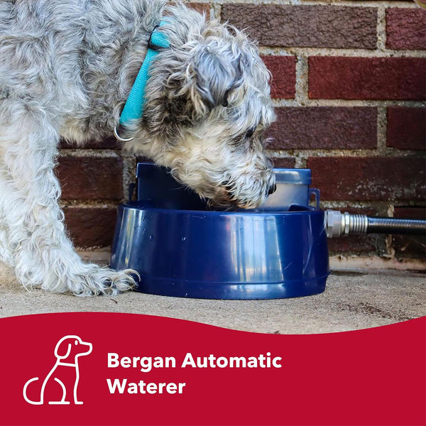 Bergan AutoWata Automatic Waterer Navy