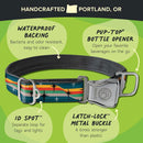 Dog collar with features highlighted on a green background