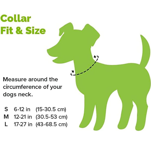 Dog collar size chart with green silhouette of a dog and measurement guide.