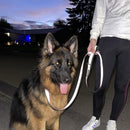 German Shepherd dog on a leash with a person in a dark setting