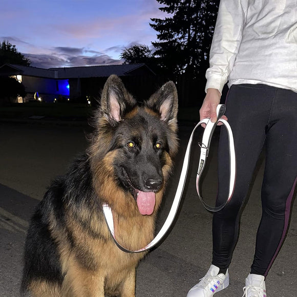 German Shepherd dog on a leash with a person in a dark setting