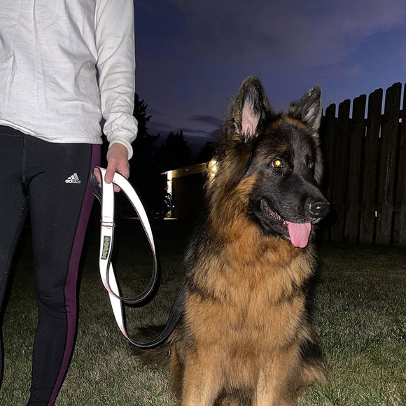 Person holding a leash next to a German Shepherd dog at night.