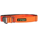 Cycle Dog Regular Width Collar Metal Buckle Orange Max Reflective