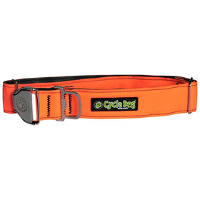 Cycle Dog Regular Width Collar Metal Buckle Orange Max Reflective