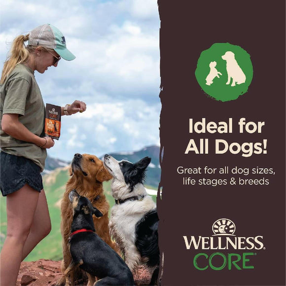Wellness CORE Tiny Trainers Tender Grain Free Lamb & Apple Dog Treats (6 oz)