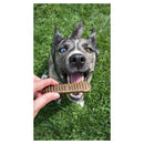 Jiminy's Dental Chews for Medium Dogs (12 ct)