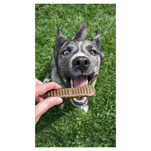 Jiminy's Dental Chews for Medium Dogs (12 ct)