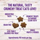 Wellness Kittles Salmon & Cranberries Recipe Crunchy Cat Treats (2 oz)