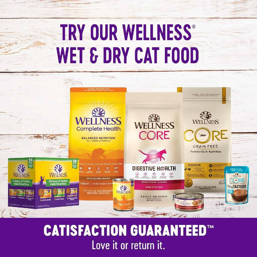 Wellness Kittles Salmon & Cranberries Recipe Crunchy Cat Treats (2 oz)